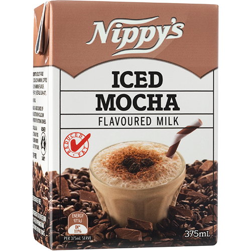 Iced Mocha Flavoured Milk 375ml x 24